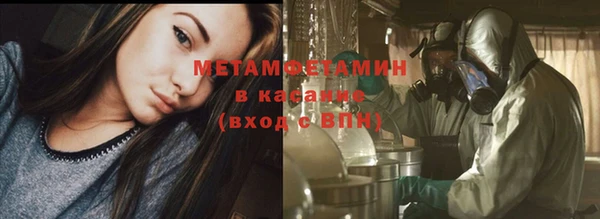 шишки Медвежьегорск
