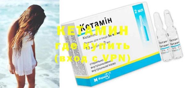 шишки Медвежьегорск