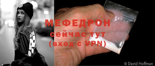 шишки Медвежьегорск