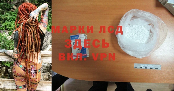 шишки Медвежьегорск