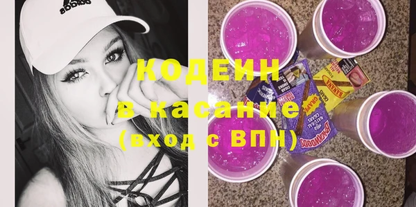 шишки Медвежьегорск