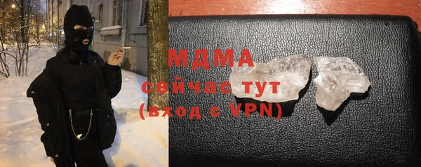 гидра Ельня