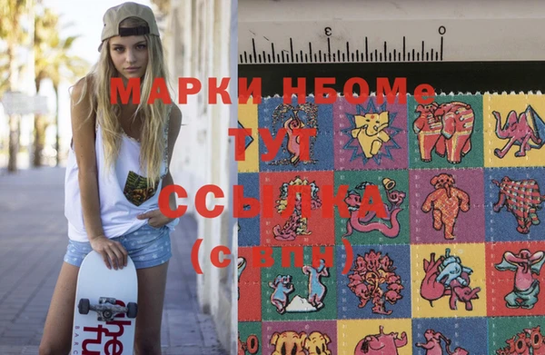 шишки Медвежьегорск