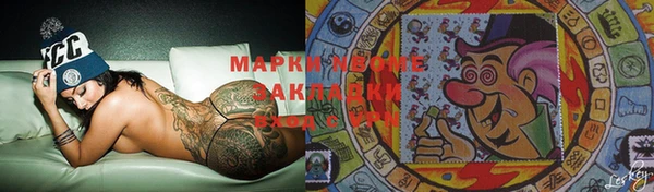 шишки Медвежьегорск
