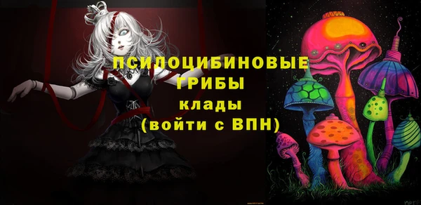 mix Мегион